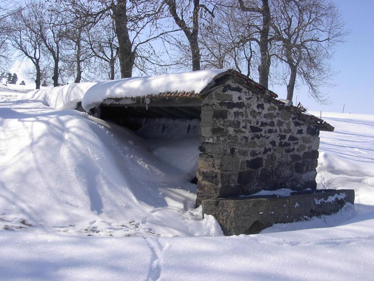 Maison De Famille Au Plateau Du Mezenc Les Vastres Dış mekan fotoğraf